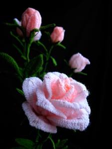 12071575_1038991672812334_175039561_n