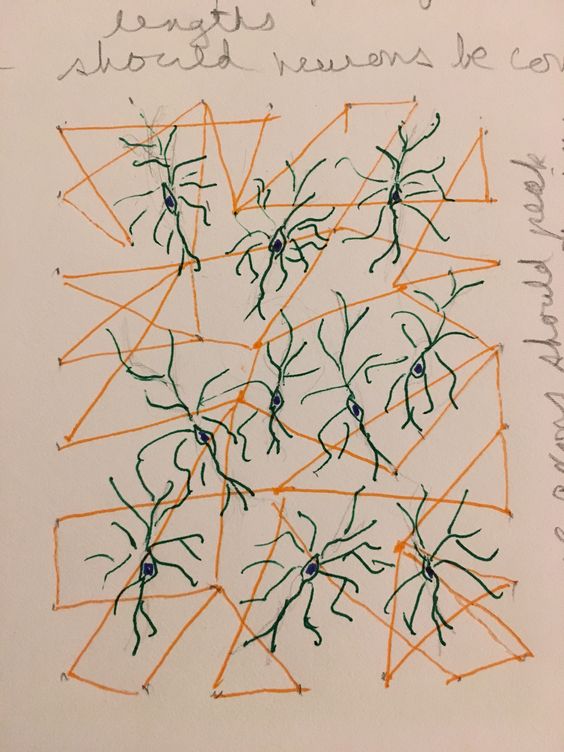 Neurons in the web