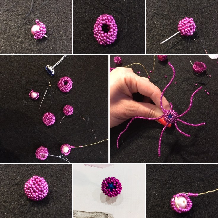 Cell_body_study