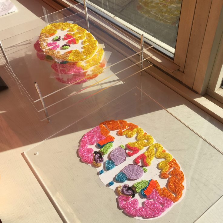 Beaded coronal brain sections hand-assembled on plexiglass following Allen Brain Atlas schematics